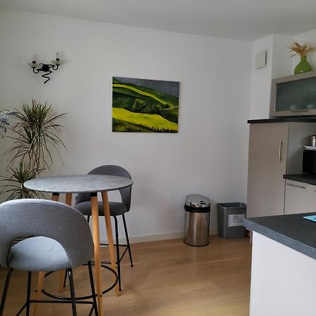 Appartement Salamandre Орлеан Экстерьер фото